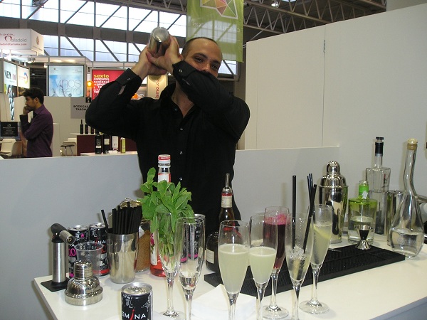inauguracion iberwine 2010 valladolid (8)