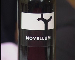 NOVELLUM2