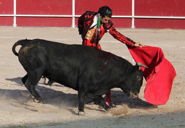 corrida toros fiestas patronales plaza portatil (6) morenito de aranda