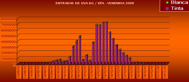 grafico uva1