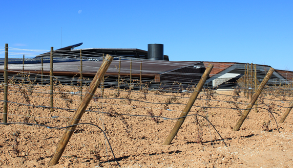 bodegas portia gumiel