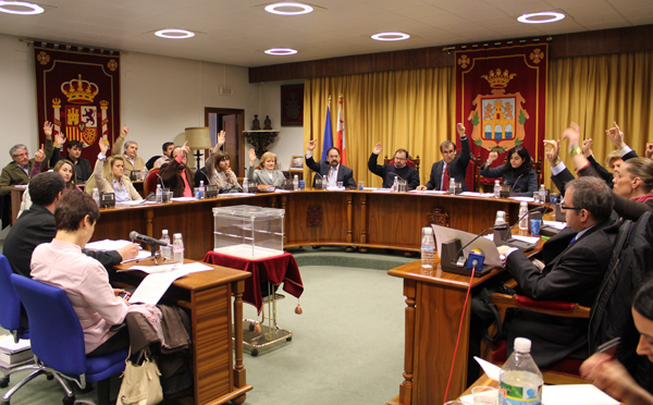 pleno febrero (3)