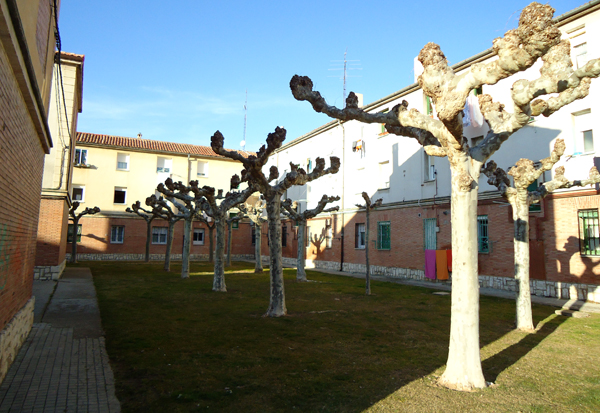 plaza montehermoso