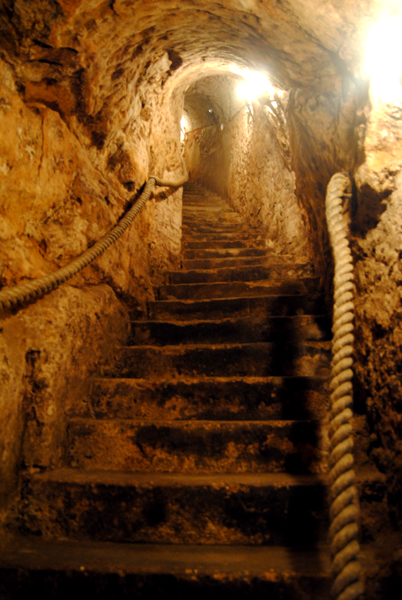bodega lagar