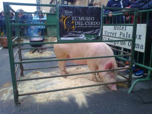 Matanza Virrey 2012 1