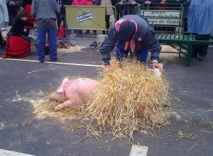 Matanza Virrey 2012 3