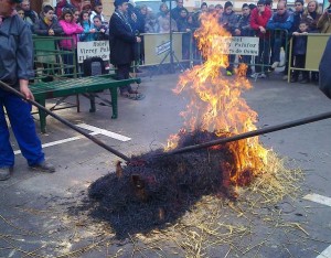 Matanza Virrey 2012 4