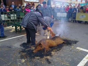 Matanza Virrey 2012 5
