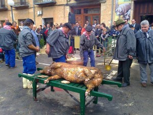 Matanza Virrey 2012 6