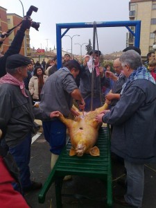 Matanza Virrey 2012 8
